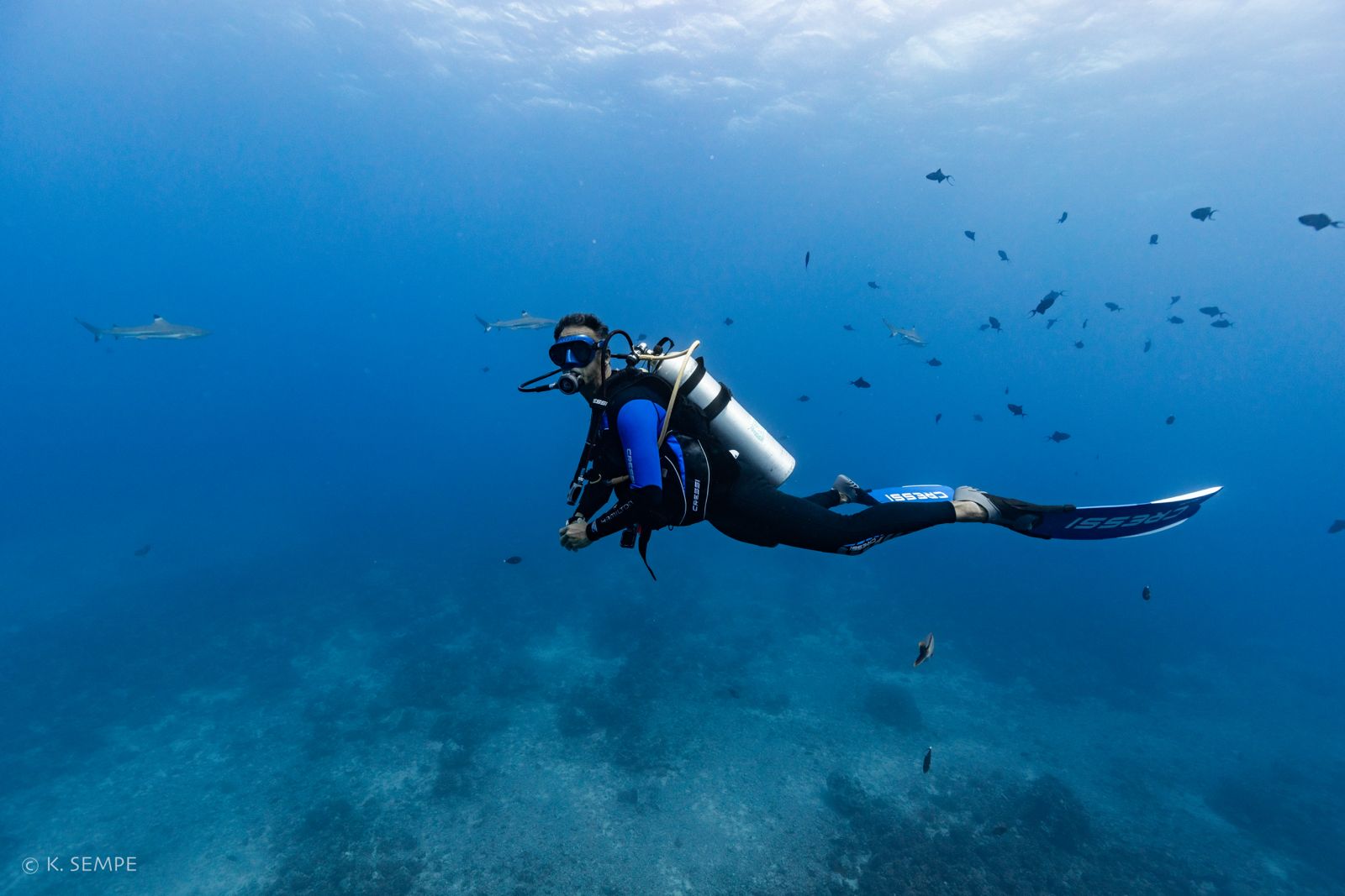 Pierre Frolla plongée aux Bahamas